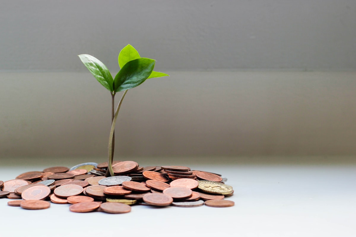 Investment growth represented by plant growing from pile of coins symbolizing this tool return from rental property